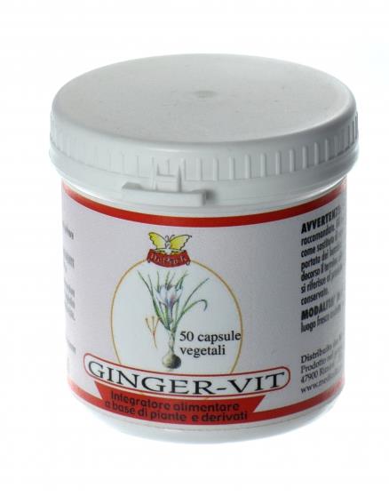 gingervit zenzero nausea gonfiori addominali digestione