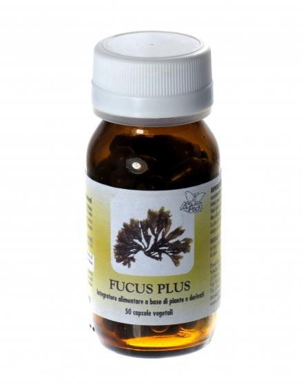 fucus plus perdita peso attivazione metabolismo iodio