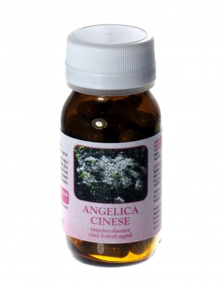 angelica cinese menopausa benessere femminile mestruale