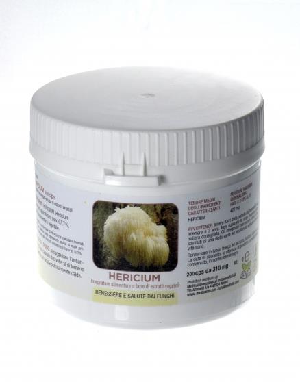 HERICIUM