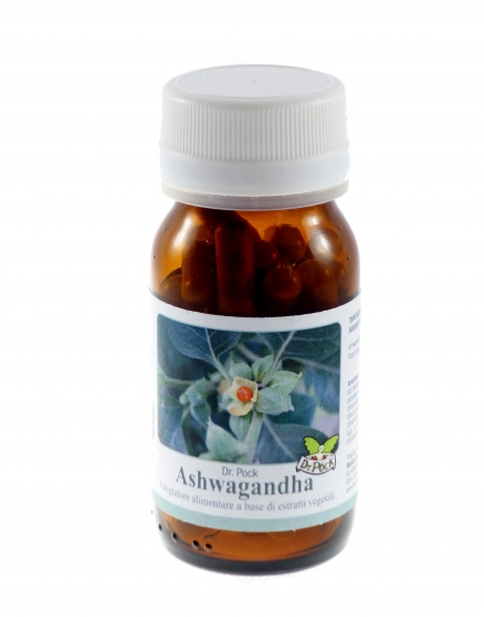 Ashwagandha ginseng indiano