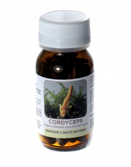 cordyceps sportivi energia difese immunitarie reni polmoni