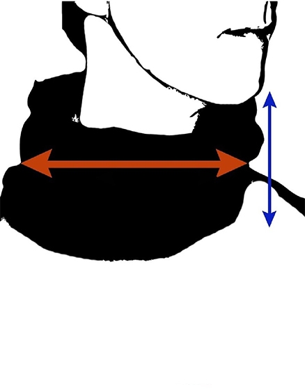 FASCIA COLLO MULTIUSO